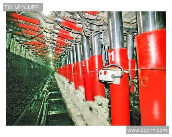 体育馆场地紧急救护设备的配置管理与应急响应机制研究