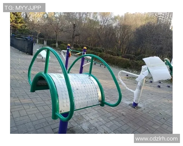 全面解析体育场健身器材种类及其功能助你选择适合的健身设备