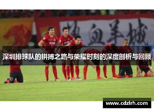 深圳排球队的拼搏之路与荣耀时刻的深度剖析与回顾